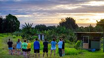 Big Island Farms Tour in Hawaii