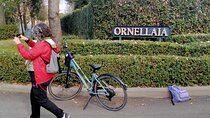 Private E-bike Tour in Bolgheri with Cooking Lesson