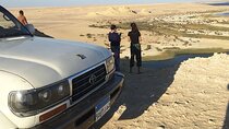From Cairo - EL-Fayoum Full Day Tour Bird Watching 