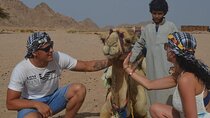  Desert Quad, Jeep, Camel and Buggy Safari with BBQ Dinner