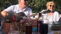 culinary half-day excursion in Klis Olive tree Garden