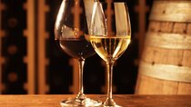 Food and Wine Tasting in Vino Veritas