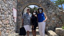 Private Santorini Half Day Highlights 4-Hour Tour & Native Driver
