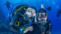 Guided Immersion from Santa Cruz de Tenerife
