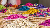 Full Day Marrakesh City Tour including Local Lunch