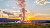 Yellowstone Lower Loop VIP Full-Day Private Tour with Lunch