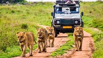 Outstanding day trip to Tarangire National Park