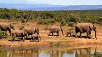 4 Days - Lake Manyara, Serengeti and Ngorongoro Crater