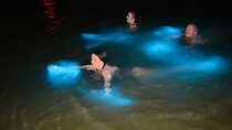 Luminous Lagoon Private Night Tour 