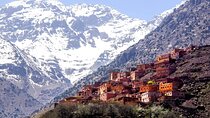 Berber farmers market visit and lunch included