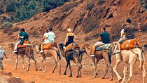 Atlas Mountains Day Trip from Marrakech and Three Valleys Guided Tour