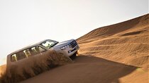 Dubai Red Dunes with Sandboarding, Camel Ride, Falcon & VIP Camp