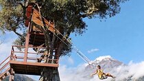 The Tree House Swing of the End of the World
