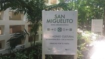 LDS Tour Cancun Mayan Museum & San Miguelito Archeological Site 