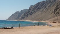 3 Pools National Park and ATV Quad in Dahab, Camel Ride by Bus-Sharm El Sheikh