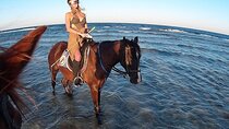 El Gouna Horse Ride Tour