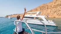 Snorkeling Day Trip to White Island and Ras Mohamed from Sharm