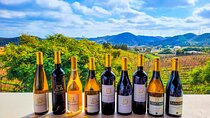 Small group Wine Tasting Tour from Lagos