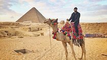 Camel Ride or Horse Around Giza Pyramids