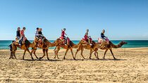 ESSAOUIRA 1 Day Private Trip from Marrakech