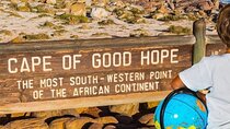 Cape of Good Hope-Cape Point - Penguins Private Tour Cape Town