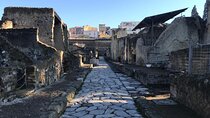 Herculaneum - Small Group Tour