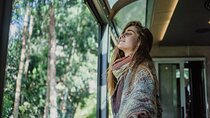 Cusco: Full-Day Tour to Machu Picchu by 360° train