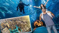 Dubai Burj Khalifa & Aquarium Underwater Zoo Tour 