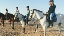 2 hours Horse Riding At Amazing Desert With Transfer - Sharm El Sheikh