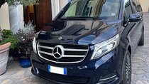 Private Transfer from NAPLES apt train station port to CAMPOBASSO