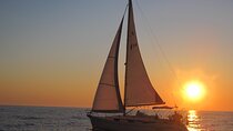 Bari sailing cruise in search of dolphins