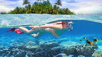 Eastern Treasures of Mauritius: incl Rhumerie St Aubin & Blue-Bay Marine Park