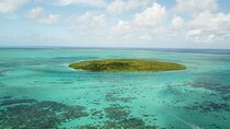 Marvelous East of Mauritius: Visit Ile Aux Aigrettes, Rhumerie St-Aubin & Lunch