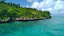 The Discovery East Tour: incl Crocodile park, visit to Ile Aux Aigrettes & Lunch