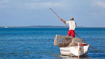 Discover the East of Mauritius: Full-day All-inclusive tour (Visit to 3 parks)