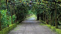 Backroads & Limoncello Experience: Sorrento E-Bike Tour