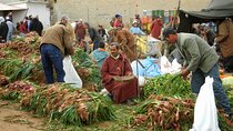 Agafay Desert, Atlas Mountains and Camel ride Day Trip from Marrakech