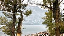 Private Sunset Wildlife Dinner Safari From Jackson WY
