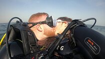 Discover Scuba Diving in Fujirah Dibba 