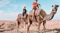 Best, Day trip to the Atlas Mountains, Camel ride, waterfalls, from Marrakech
