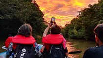 Wildlife Safari Boat Tenorio, Excellent bird watching tour