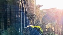 Gothic Quarter & Picasso Museum Private tour