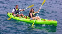 Cape Town Sea Kayaking Adventure launching from V&A Waterfront