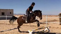 Hurghada Horse Riding