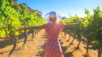 Half Day Swan Valley Afternoon Wine Tour - Premium Small Group Tour