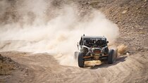 Morning Car Buggy Hurghada 