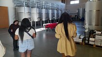 Enjoy The Algarvian Wine Taste & Coast Line Private Van Tour 