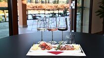 Exclusive Bolgheri from Florence: The Land of the Super Tuscan
