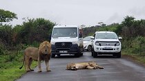 Hluhluwe Imfolozi Park And Isimangaliso Wetlands Park .st Lucia