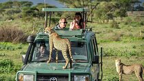 5 Days Tanzania Safari with Serengeti